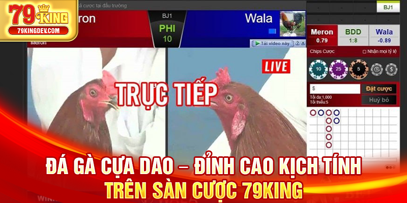 Đá Gà Cựa Dao – Đỉnh Cao Kịch Tính Trên Sàn Cược 79King Đá gà cựa dao