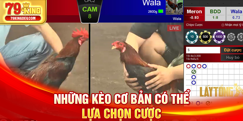 Đá Gà Cựa Dao – Đỉnh Cao Kịch Tính Trên Sàn Cược 79King Những kèo cơ bản có thể lựa chọn cược